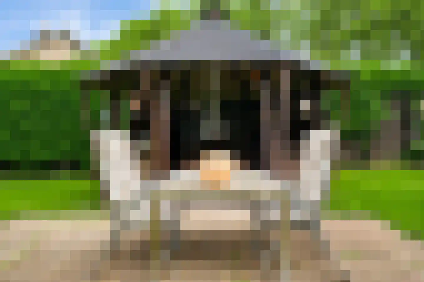 Generaal Dempsystraat 13 Swolgen thumbnail 52