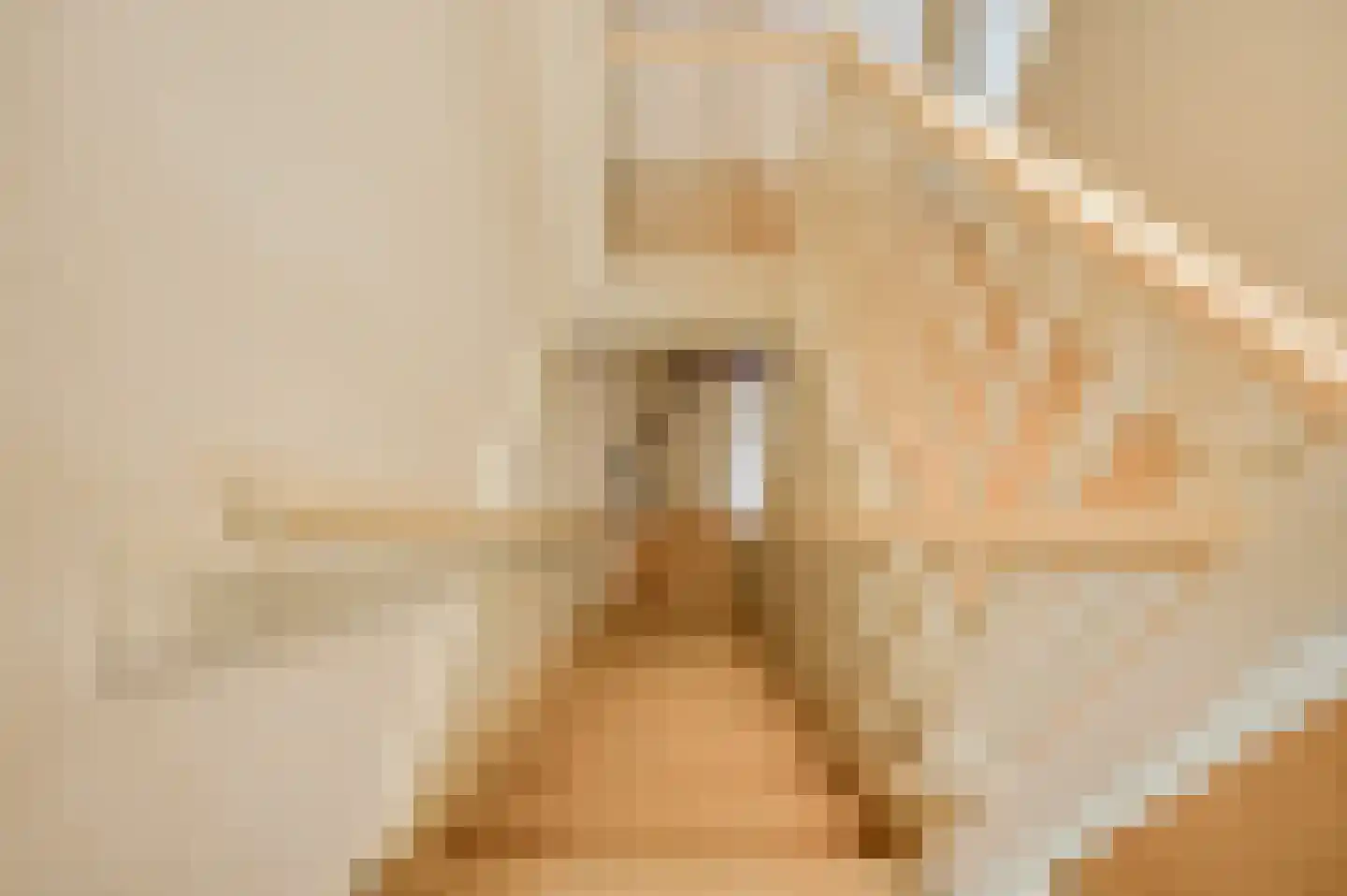 Generaal Dempsystraat 13 Swolgen thumbnail 53