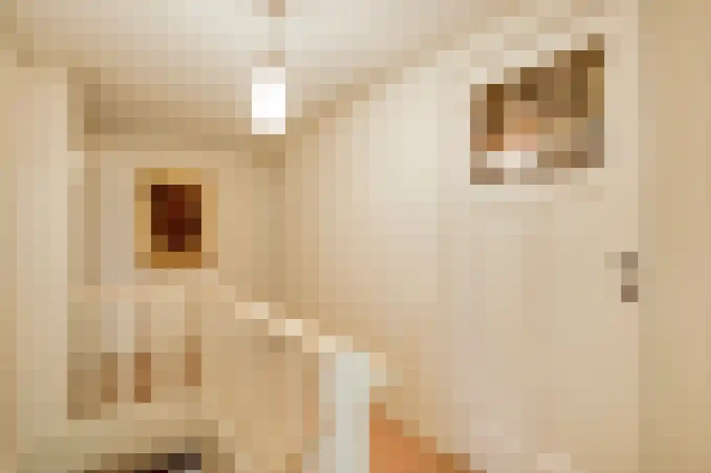 Generaal Dempsystraat 13 Swolgen thumbnail 54