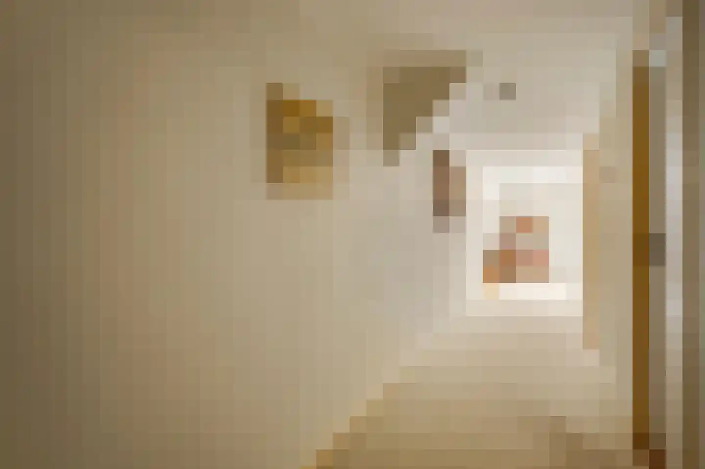Generaal Dempsystraat 13 Swolgen thumbnail 57