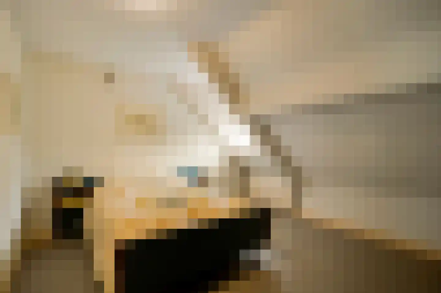 Generaal Dempsystraat 13 Swolgen thumbnail 58