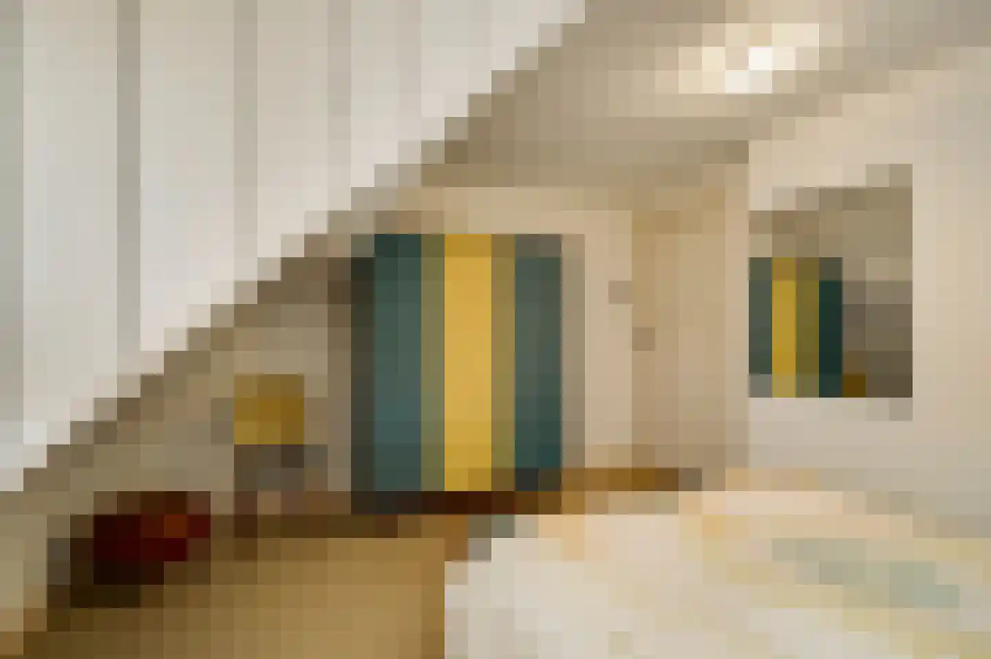 Generaal Dempsystraat 13 Swolgen thumbnail 59