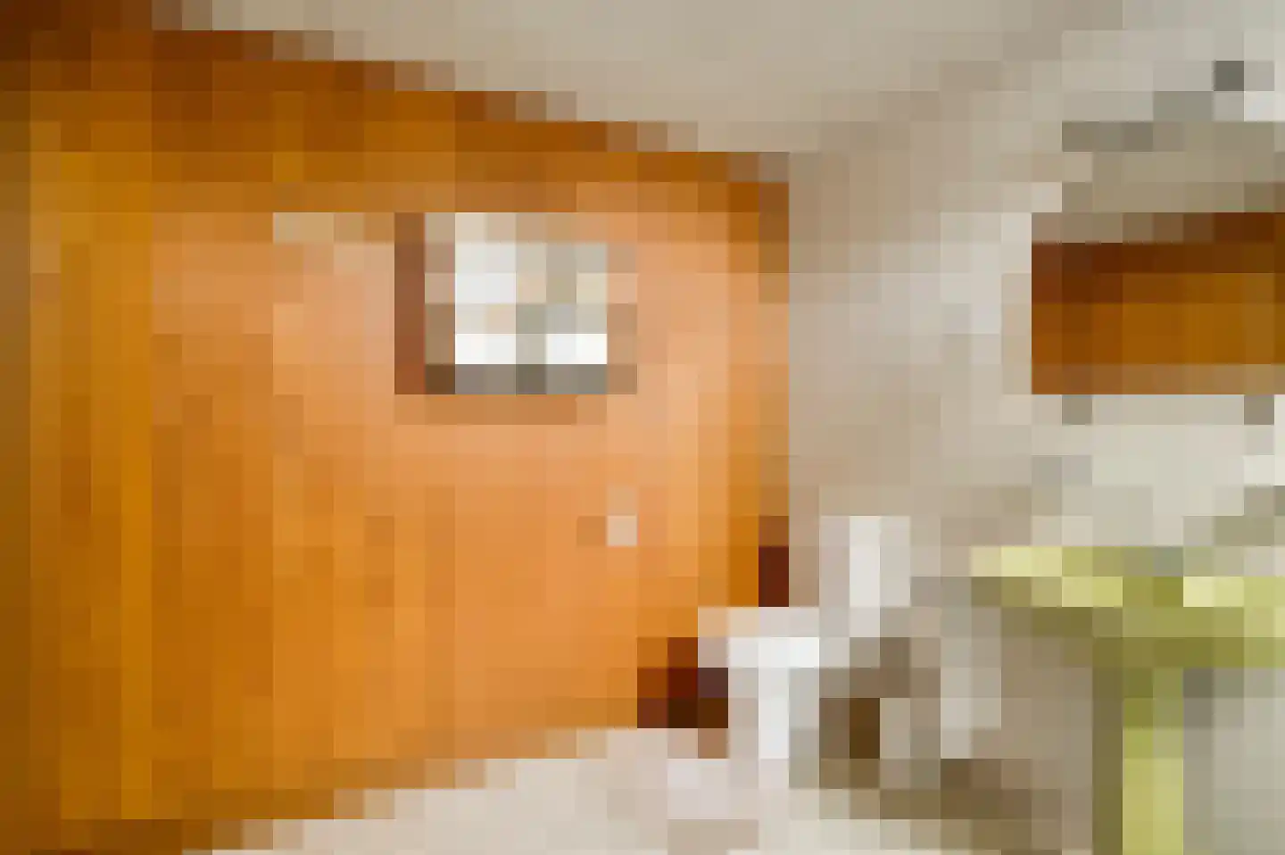 Generaal Dempsystraat 13 Swolgen thumbnail 61