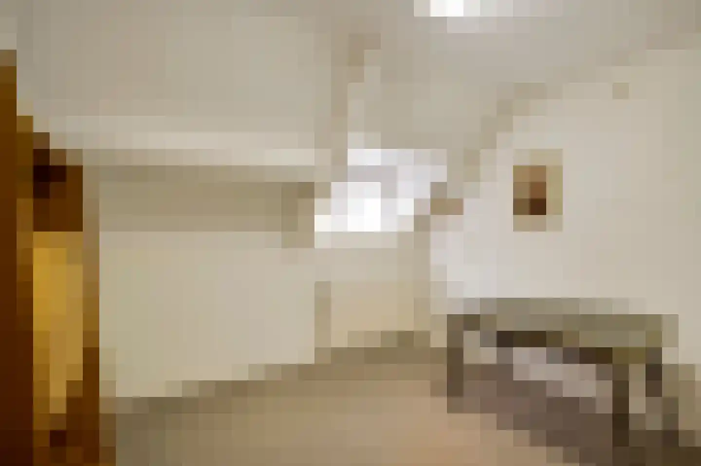 Generaal Dempsystraat 13 Swolgen thumbnail 62