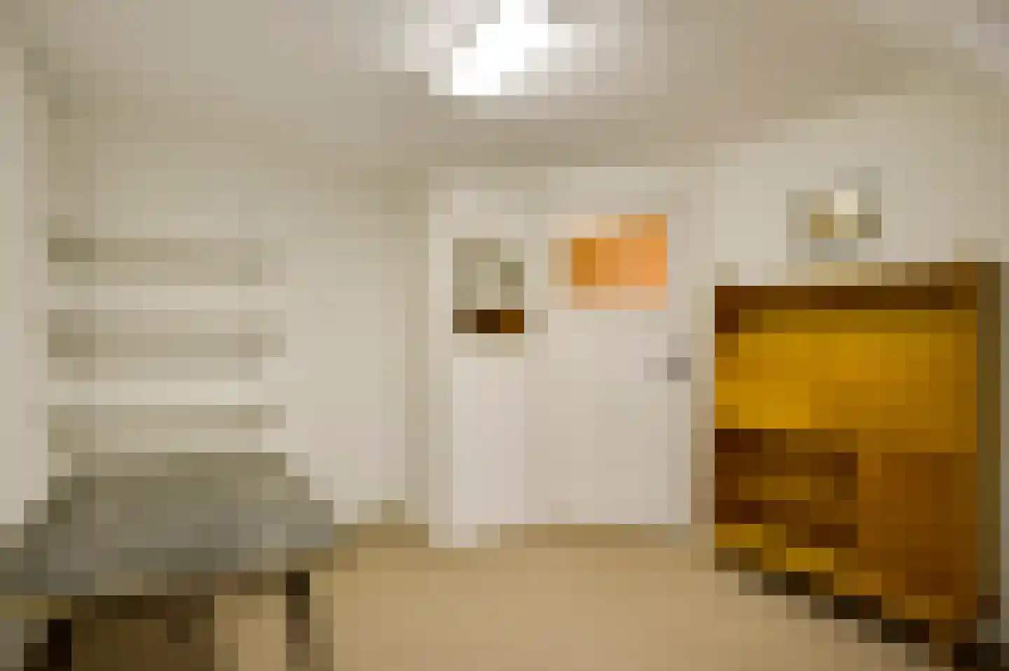 Generaal Dempsystraat 13 Swolgen thumbnail 63