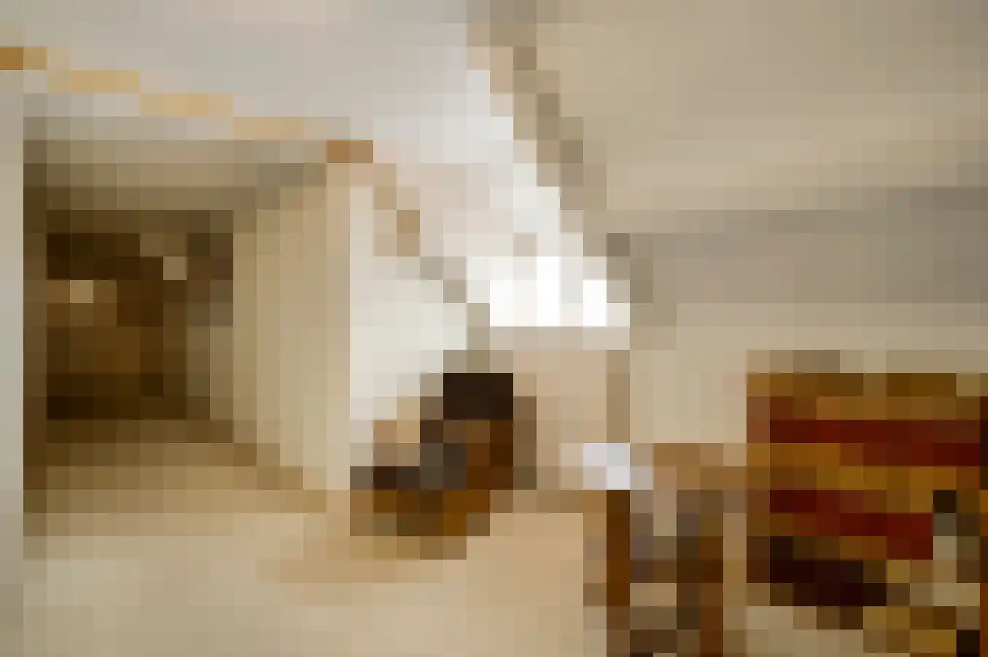 Generaal Dempsystraat 13 Swolgen thumbnail 64