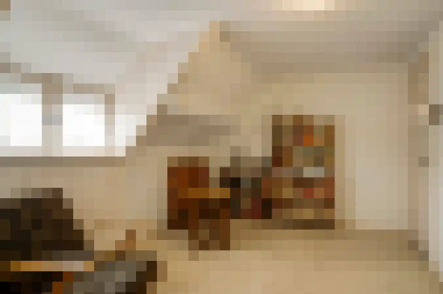 Generaal Dempsystraat 13 Swolgen thumbnail 65