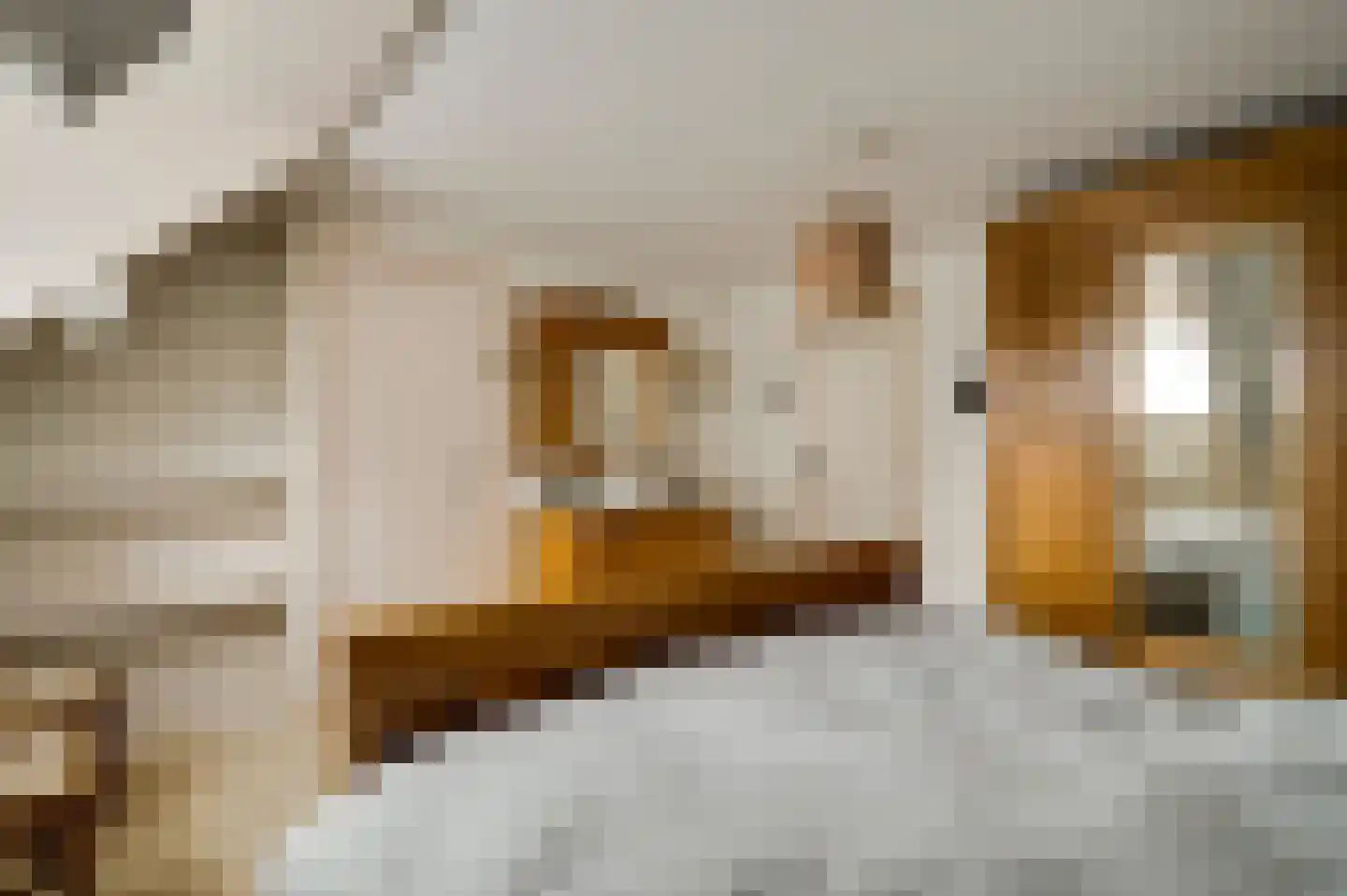 Generaal Dempsystraat 13 Swolgen thumbnail 67