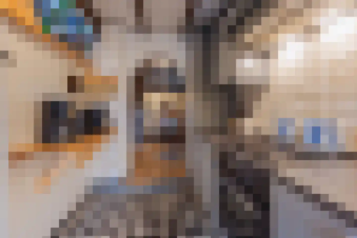 Generaal Dempsystraat 19 Swolgen thumbnail 11