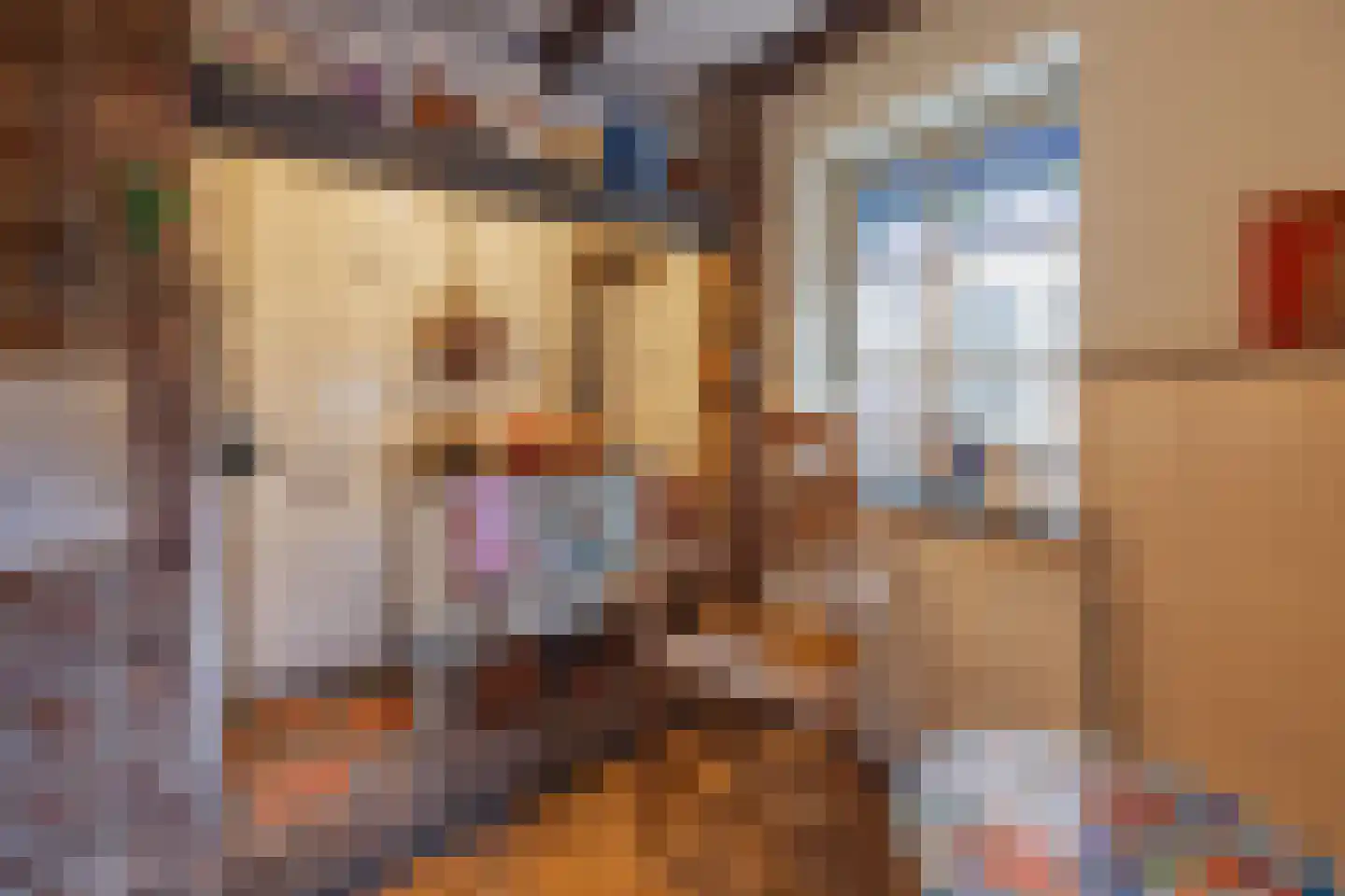 Generaal Dempsystraat 19 Swolgen thumbnail 12