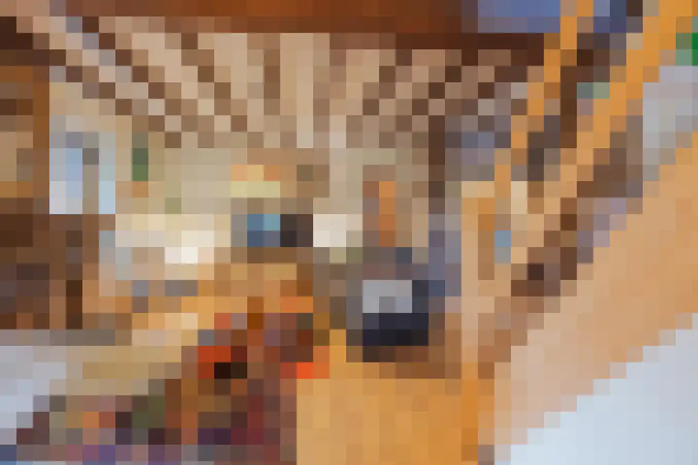 Generaal Dempsystraat 19 Swolgen thumbnail 17