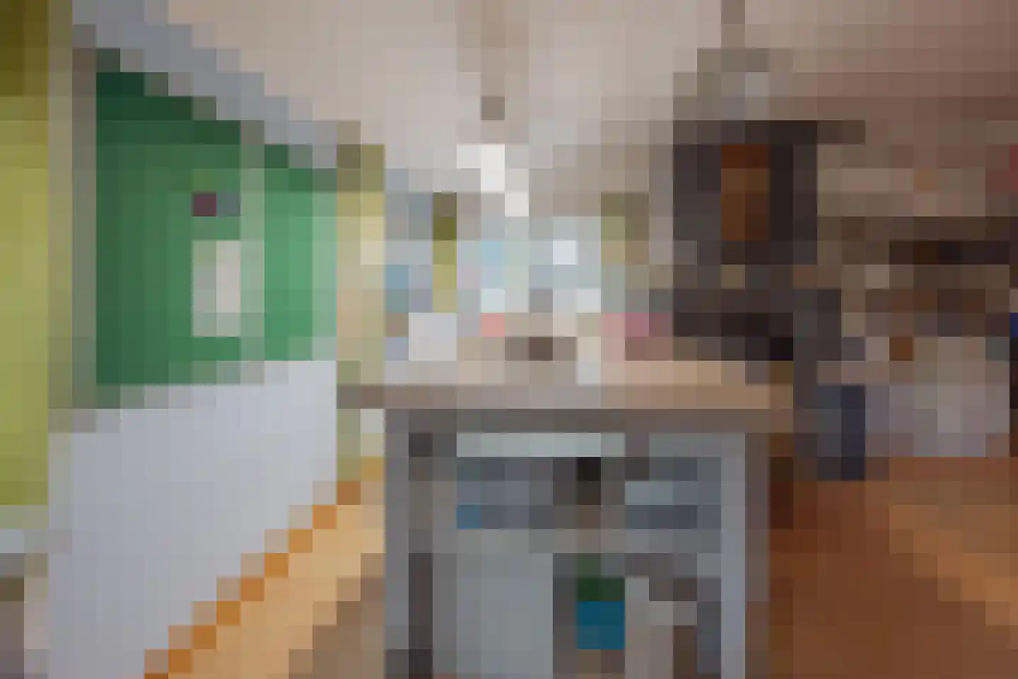 Generaal Dempsystraat 19 Swolgen thumbnail 24