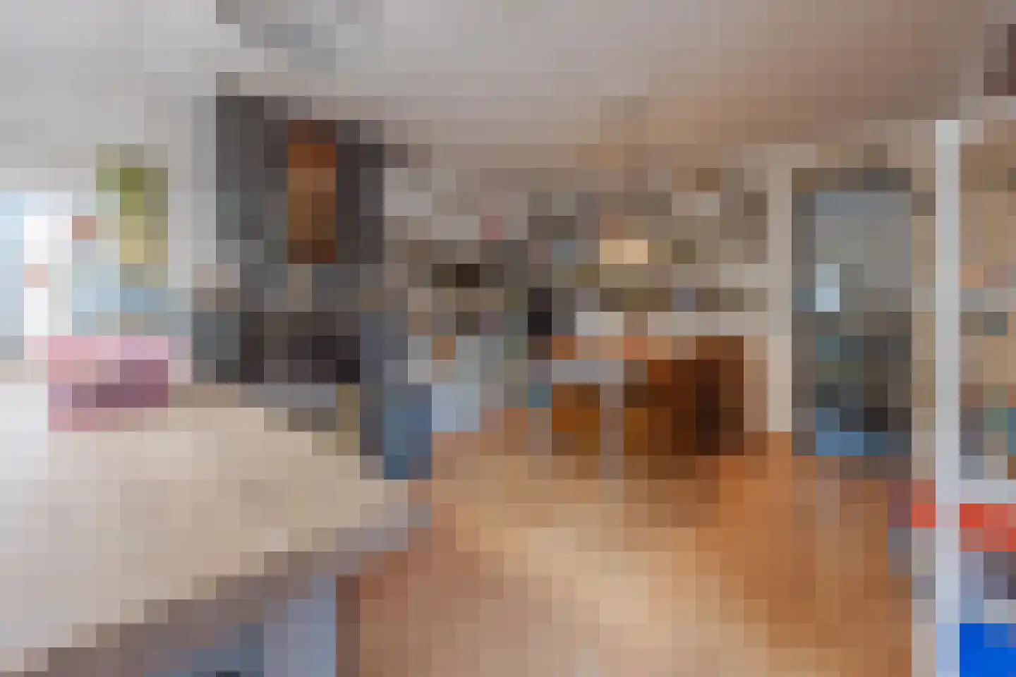 Generaal Dempsystraat 19 Swolgen thumbnail 25