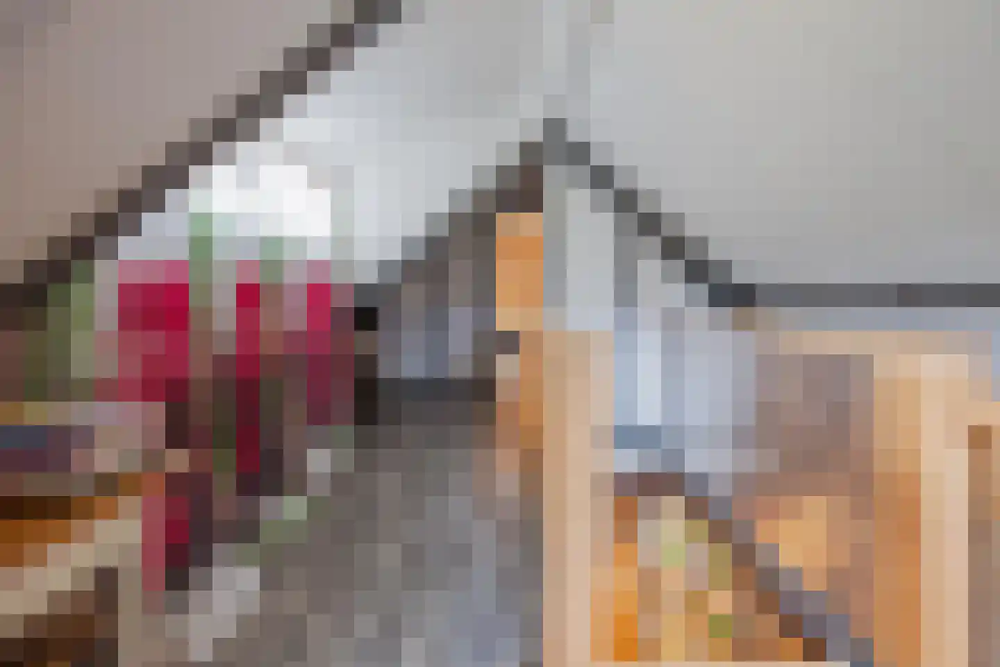 Generaal Dempsystraat 19 Swolgen thumbnail 29