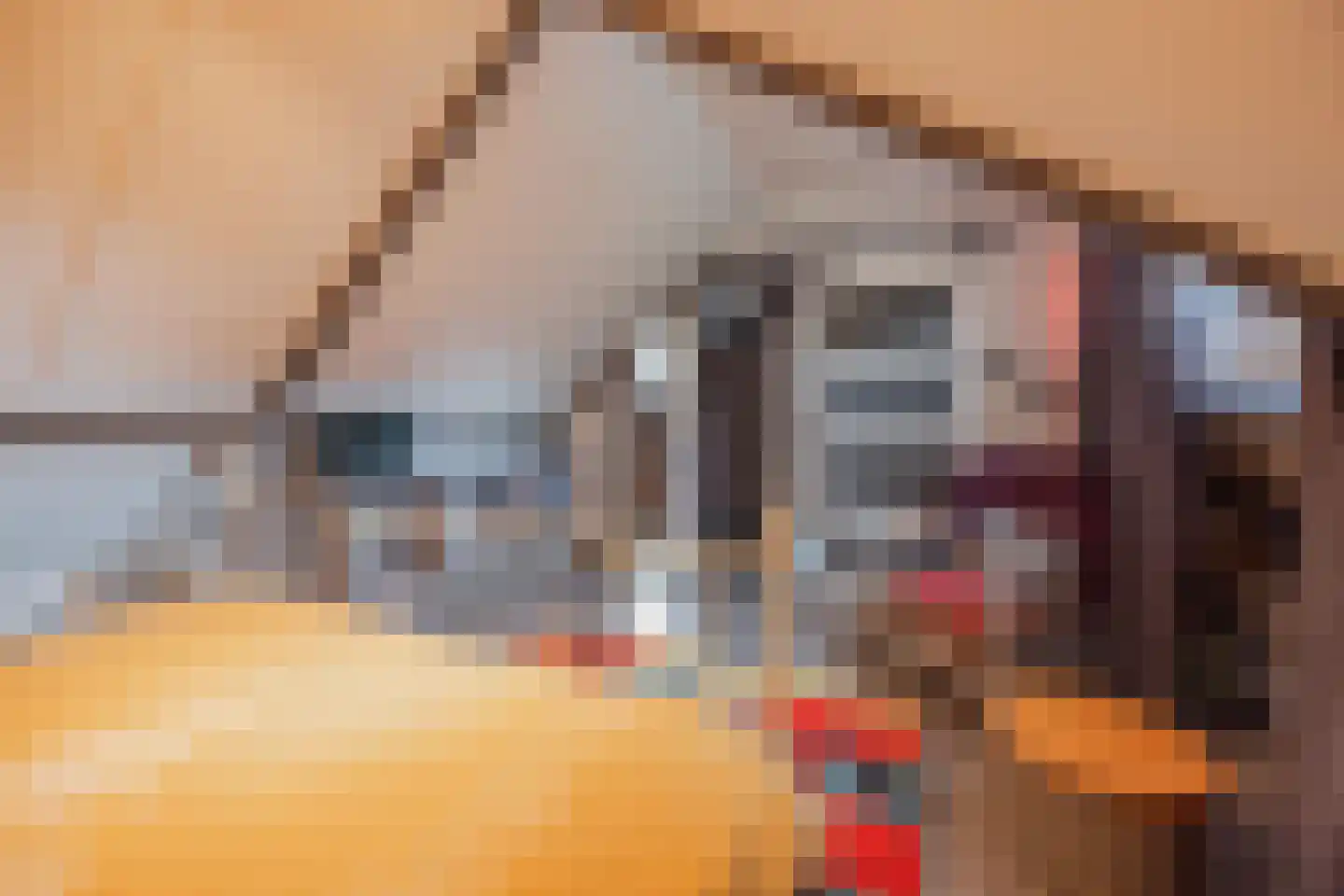 Generaal Dempsystraat 19 Swolgen thumbnail 32