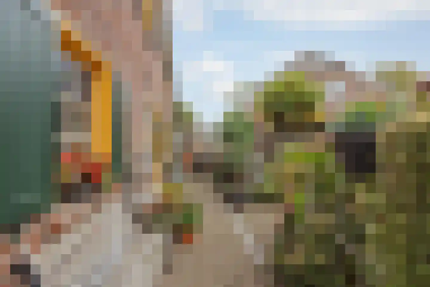 Generaal Dempsystraat 19 Swolgen thumbnail 35