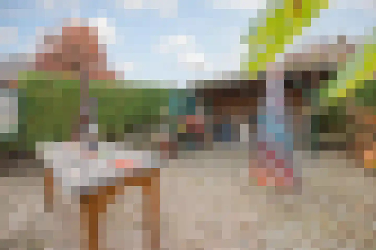 Generaal Dempsystraat 19 Swolgen thumbnail 38
