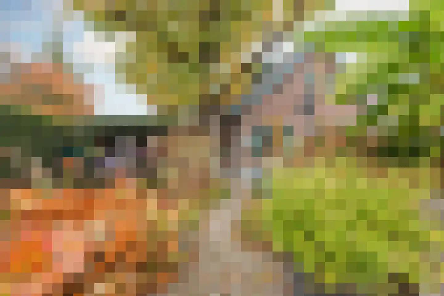 Generaal Dempsystraat 19 Swolgen thumbnail 39
