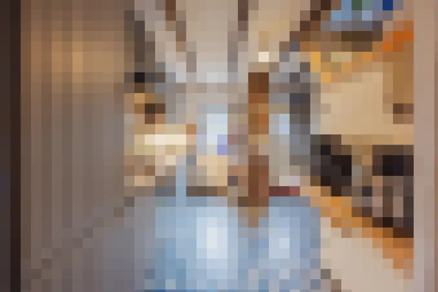 Generaal Dempsystraat 19 Swolgen thumbnail 4