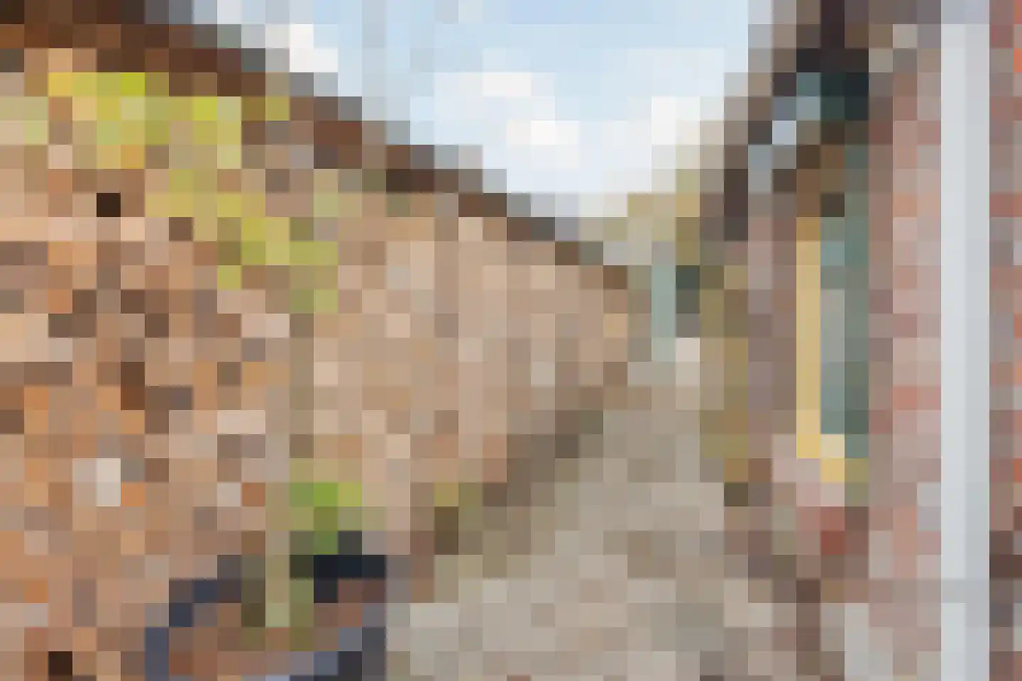 Generaal Dempsystraat 19 Swolgen thumbnail 42