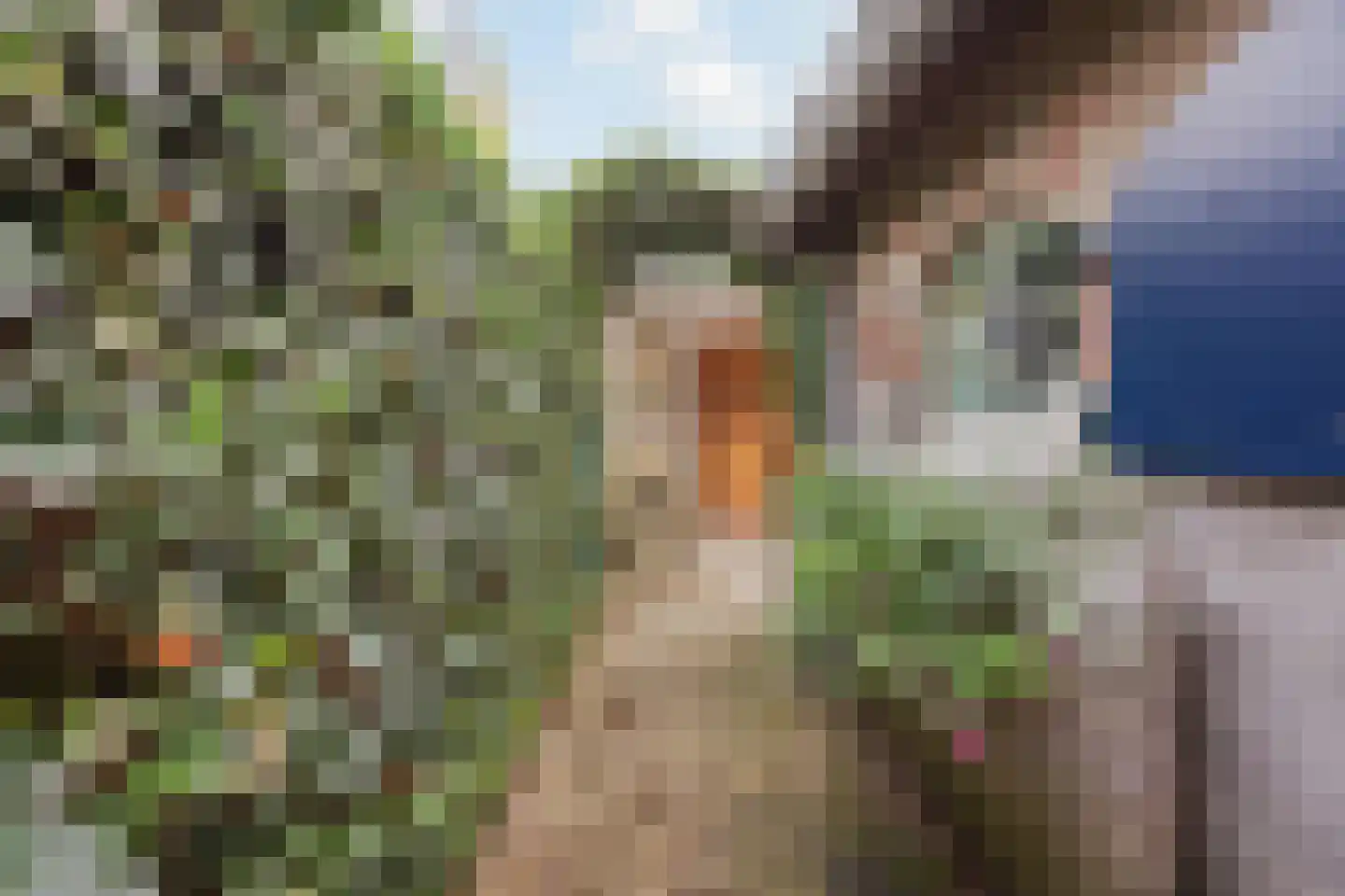 Generaal Dempsystraat 19 Swolgen thumbnail 45