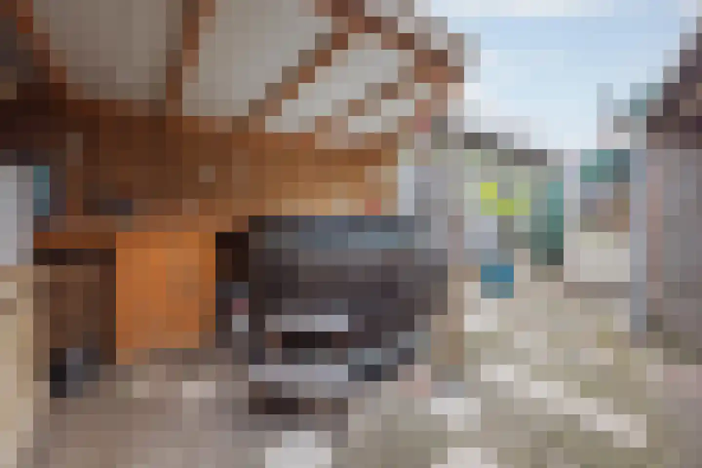 Generaal Dempsystraat 19 Swolgen thumbnail 46