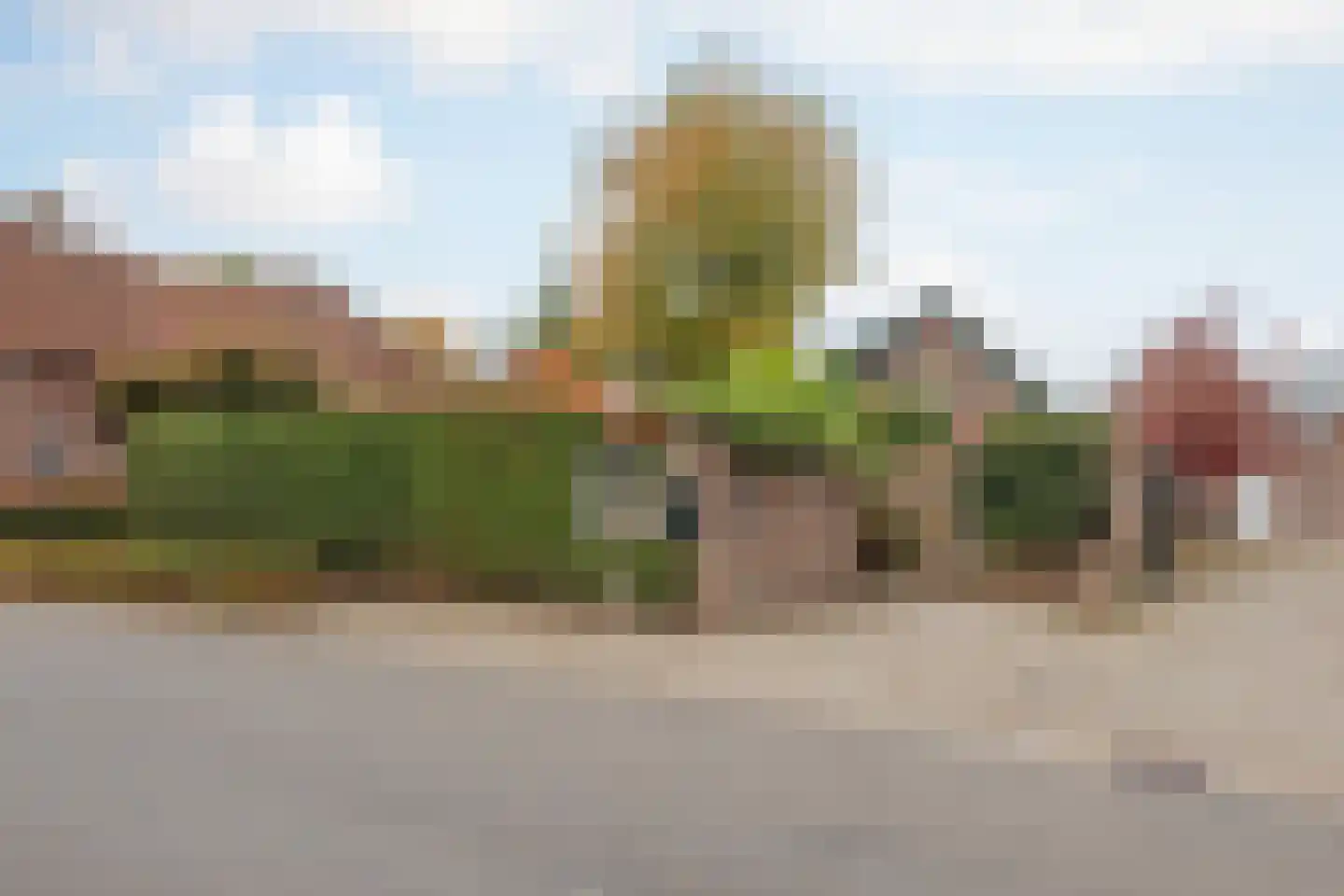 Generaal Dempsystraat 19 Swolgen thumbnail 7