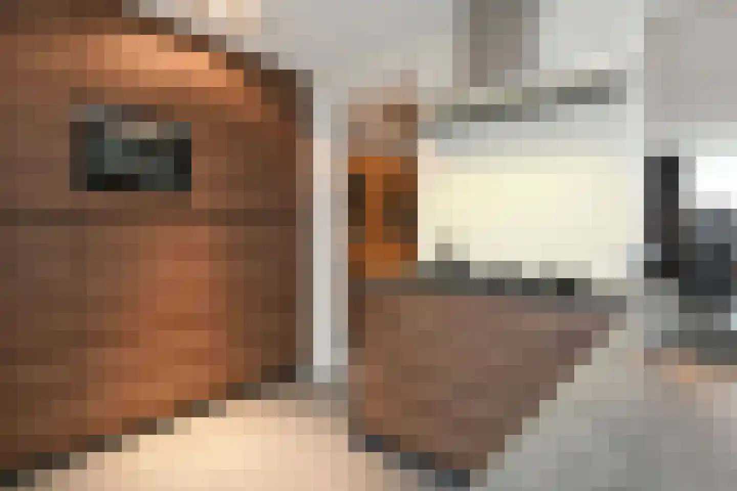 Generaal des Tombepad 1 Eindhoven thumbnail 17