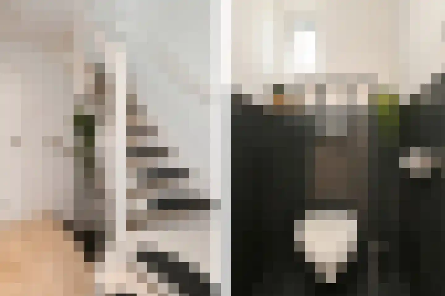 Generaal des Tombepad 1 Eindhoven thumbnail 31
