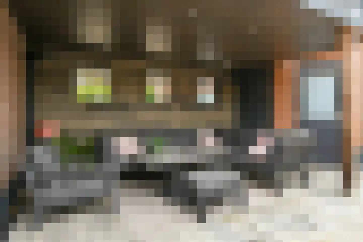 Generaal des Tombepad 1 Eindhoven thumbnail 35