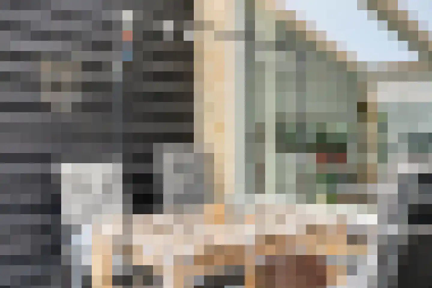 Generaal Dibbetslaan 102 A Eindhoven thumbnail 28