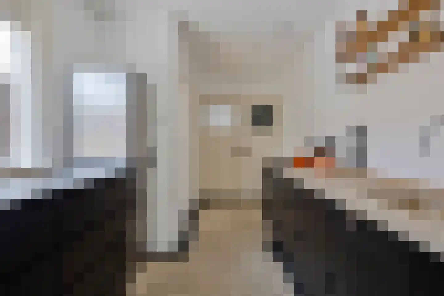 Generaal Dibbetslaan 120 Eindhoven thumbnail 19