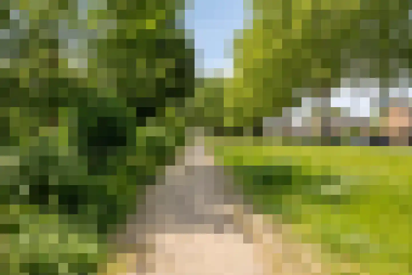 Generaal Dibbetslaan 120 Eindhoven thumbnail 40