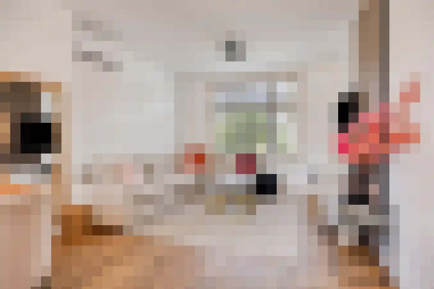Generaal Dibbetslaan 120 Eindhoven thumbnail 6