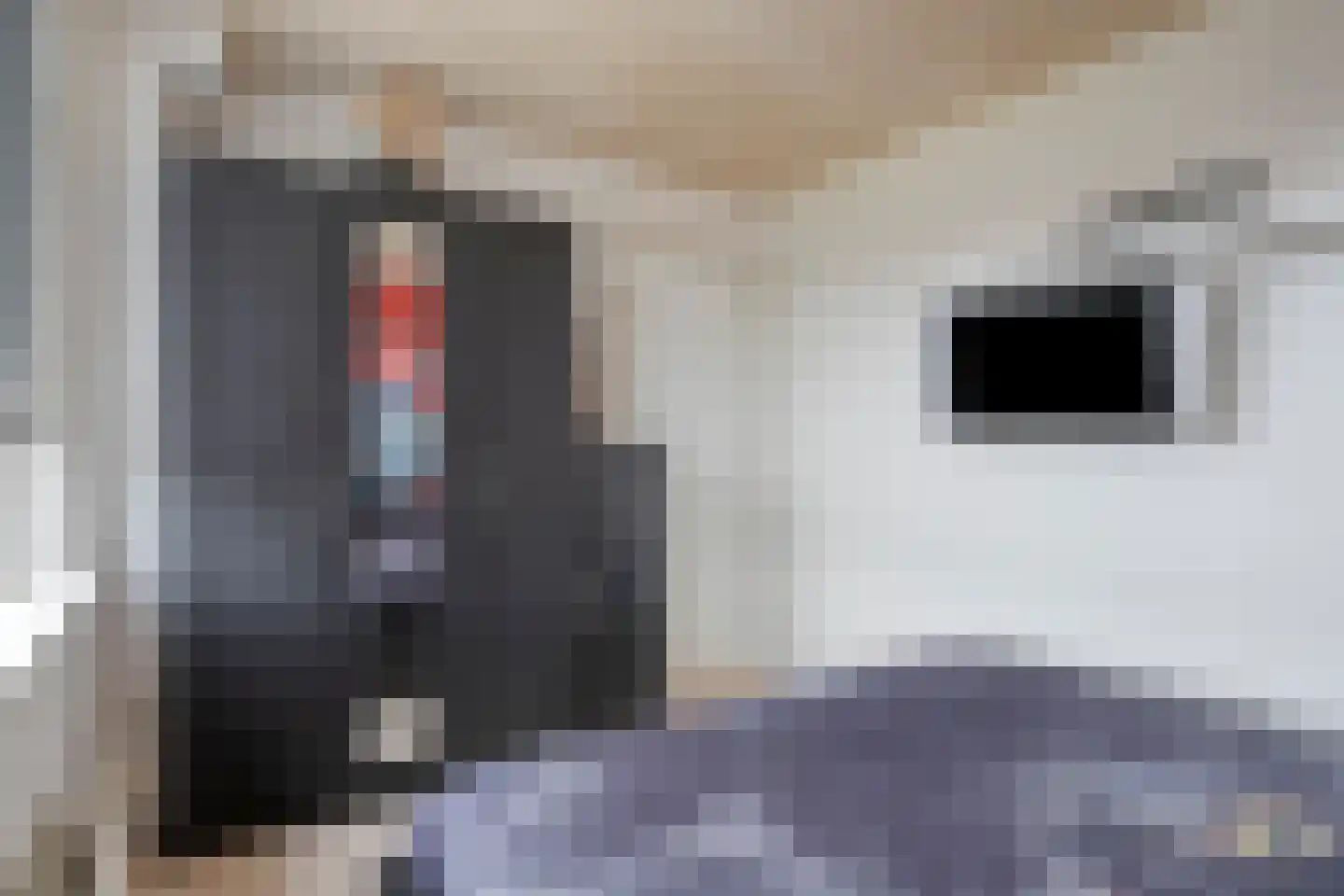 Generaal Dibbetslaan 71 Eindhoven thumbnail 16