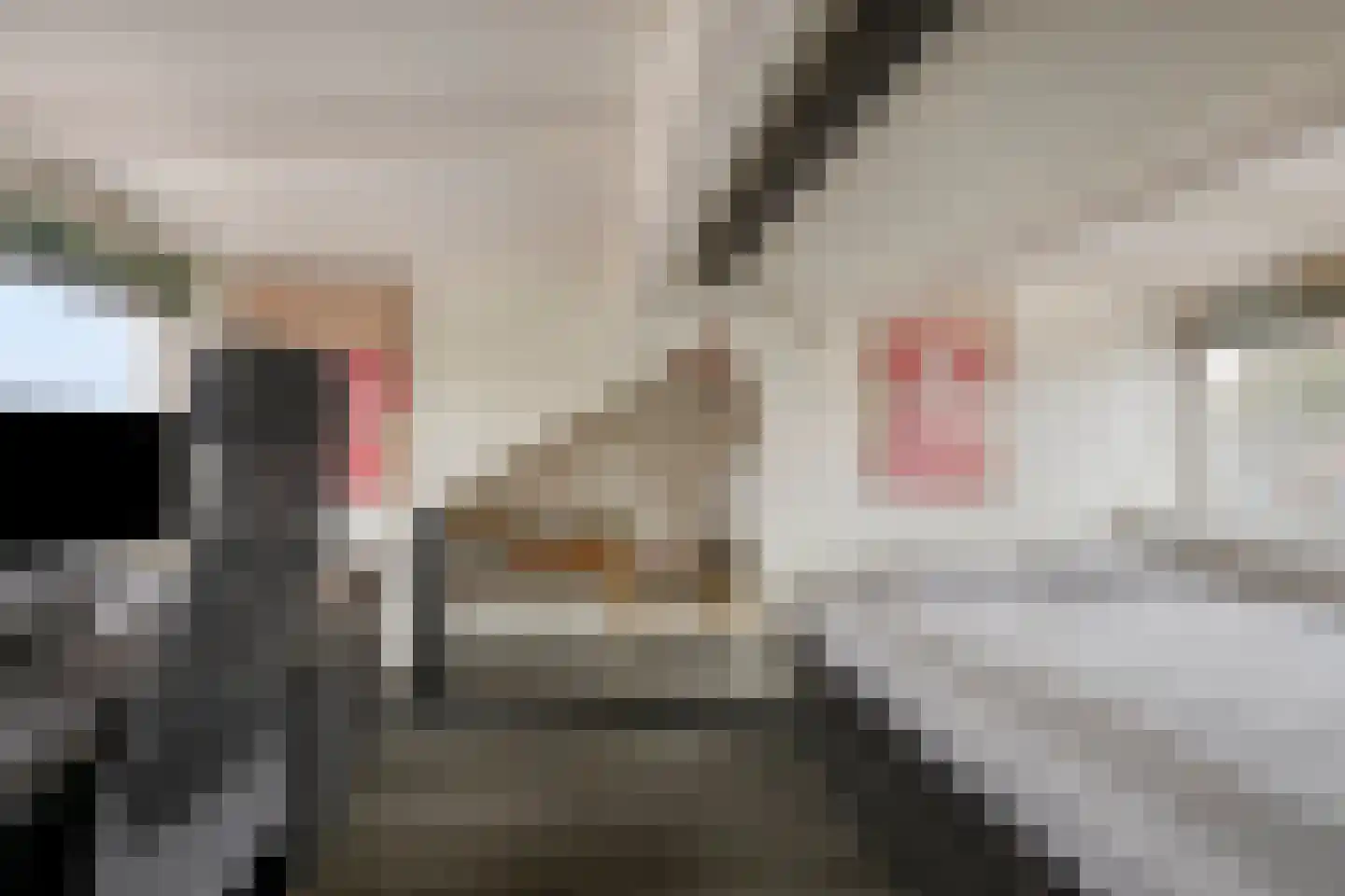 Generaal Dibbetslaan 71 Eindhoven thumbnail 22