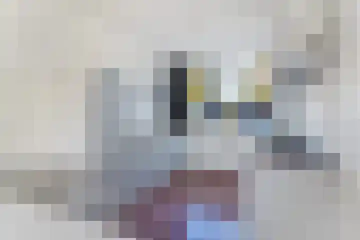 Generaal Eisenhowerlaan 36 Middelburg thumbnail 6