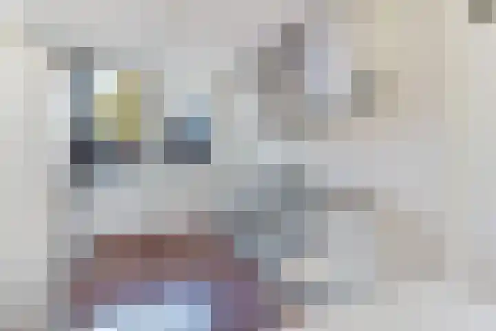 Generaal Eisenhowerlaan 36 Middelburg thumbnail 7