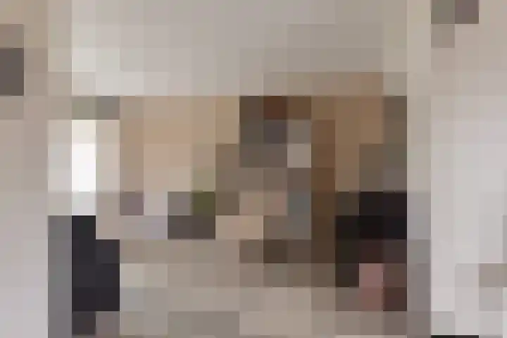 Generaal Eisenhowerlaan 64 Middelburg thumbnail 10
