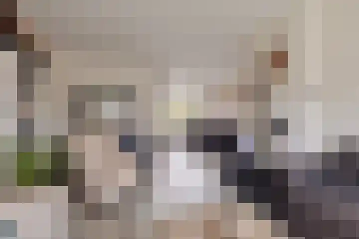 Generaal Eisenhowerlaan 64 Middelburg thumbnail 15