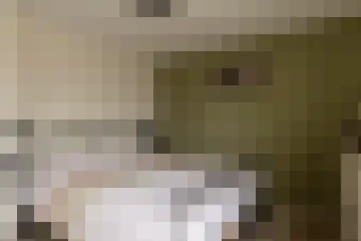Generaal Eisenhowerlaan 64 Middelburg thumbnail 27