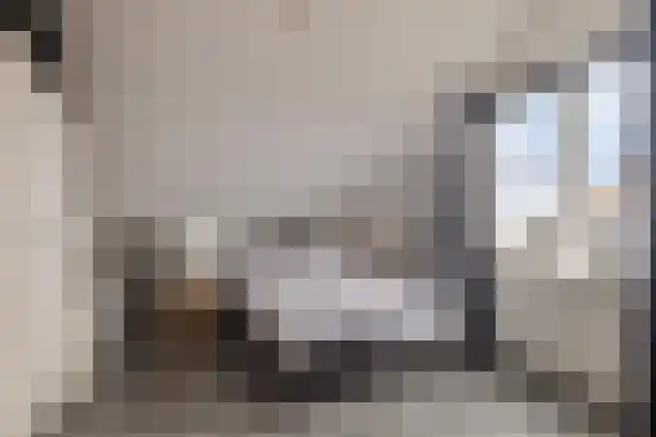 Generaal Eisenhowerlaan 64 Middelburg thumbnail 31
