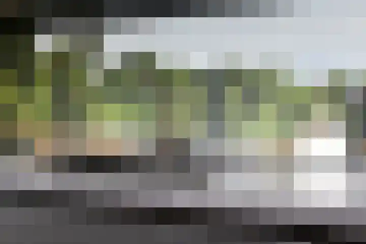 Generaal Eisenhowerplein 124 Rijswijk thumbnail 15