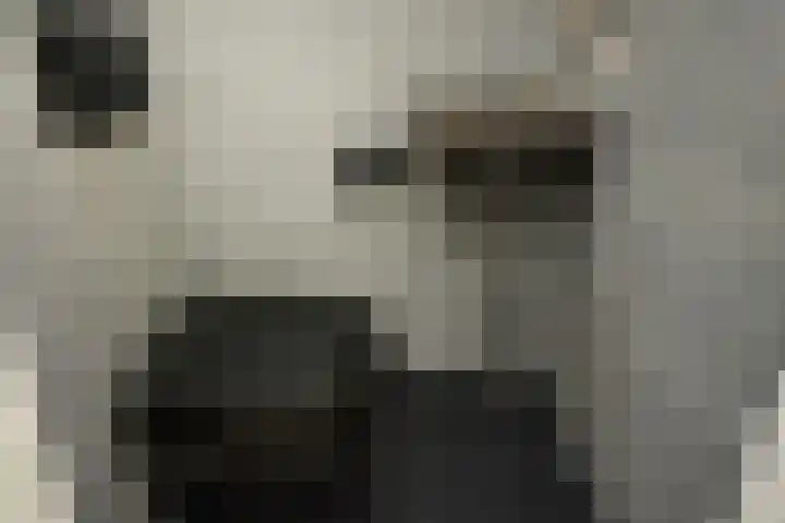 Generaal Eisenhowerplein 124 Rijswijk thumbnail 32