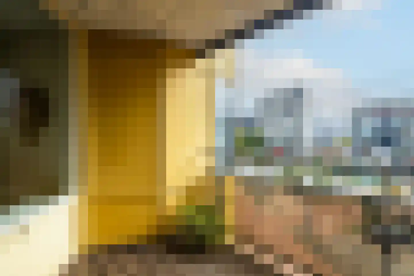 Generaal Eisenhowerplein 158 Rijswijk thumbnail 20