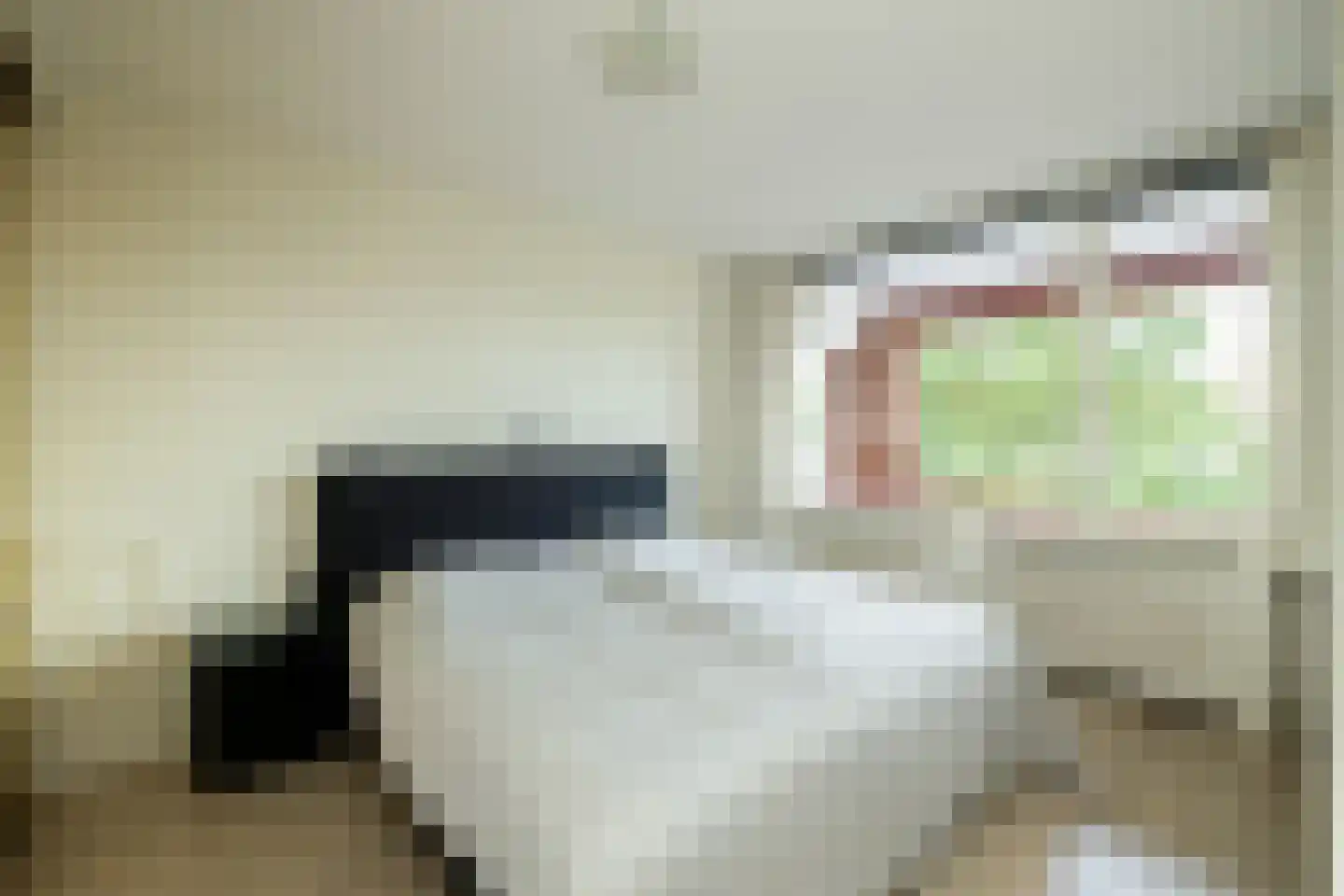 Generaal Eisenhowerplein 158 Rijswijk thumbnail 22