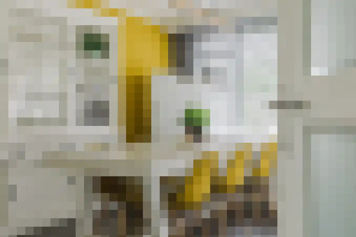 Generaal Foulkesstraat 4 Ossendrecht thumbnail 11