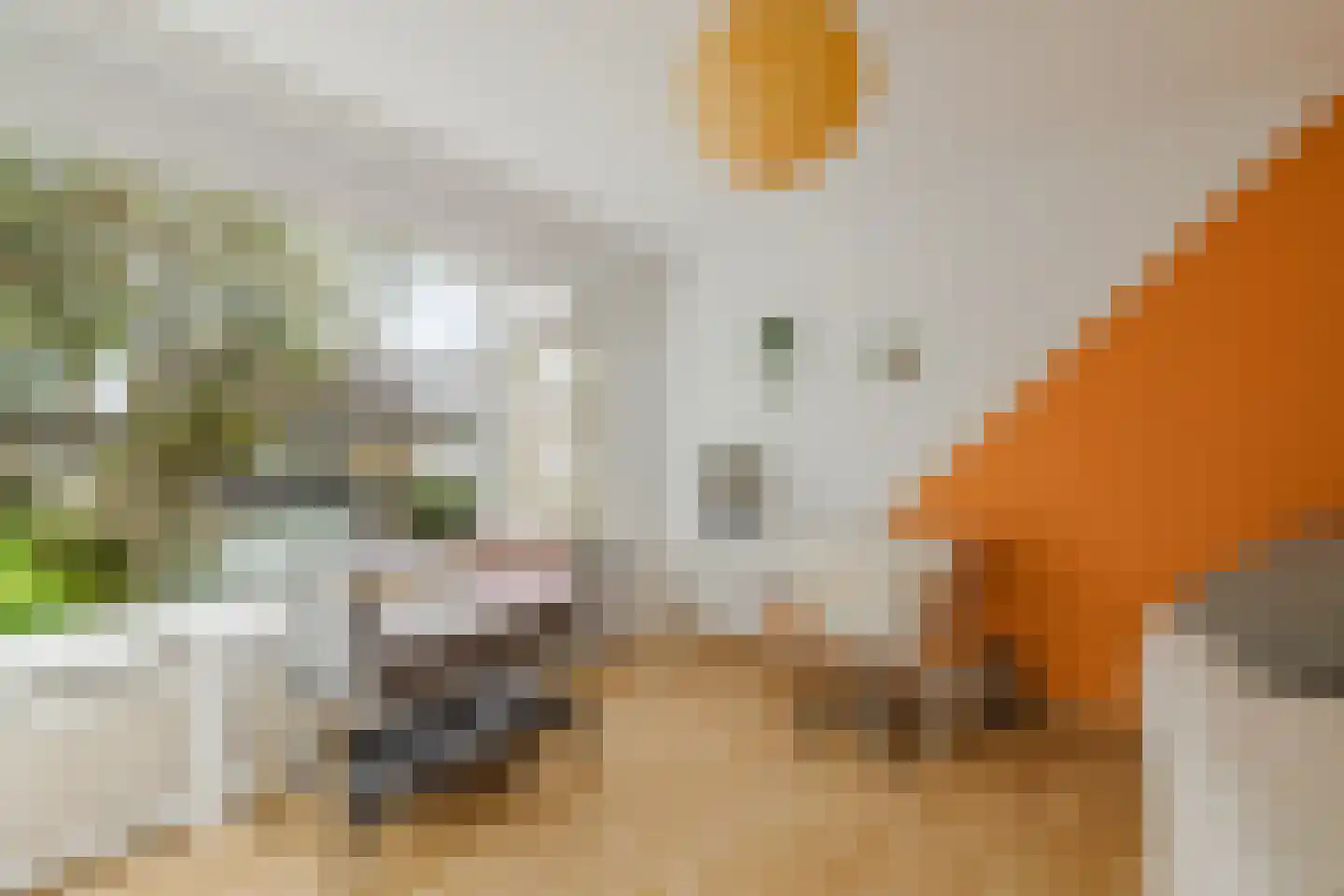 Generaal Foulkesstraat 4 Ossendrecht thumbnail 36
