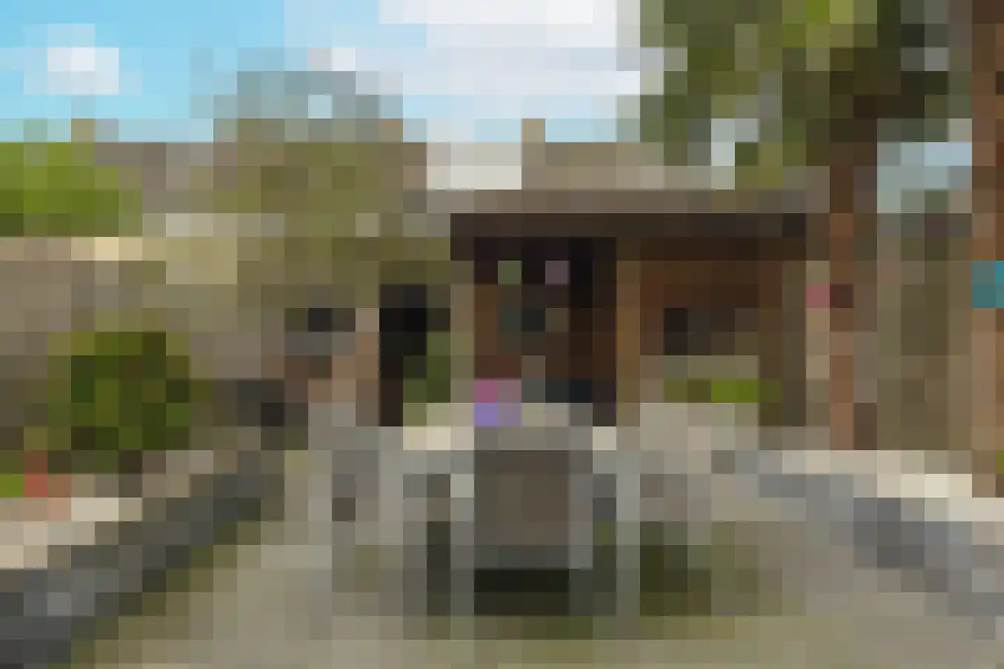 Generaal Foulkesstraat 4 Ossendrecht thumbnail 49