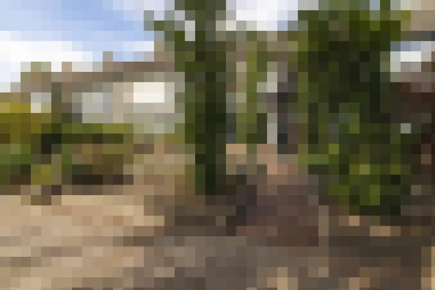 Generaal Foulkesstraat 4 Ossendrecht thumbnail 54